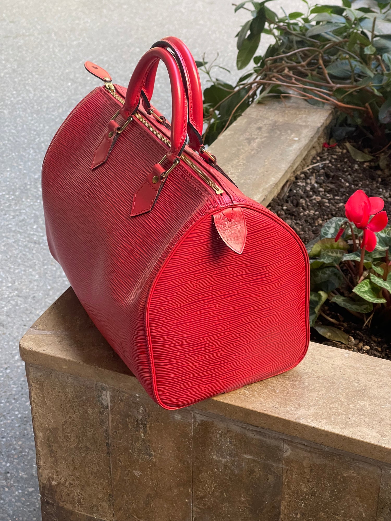 Louis Vuitton Speedy 30 bag in red epi leather Les Folies d Eugenie