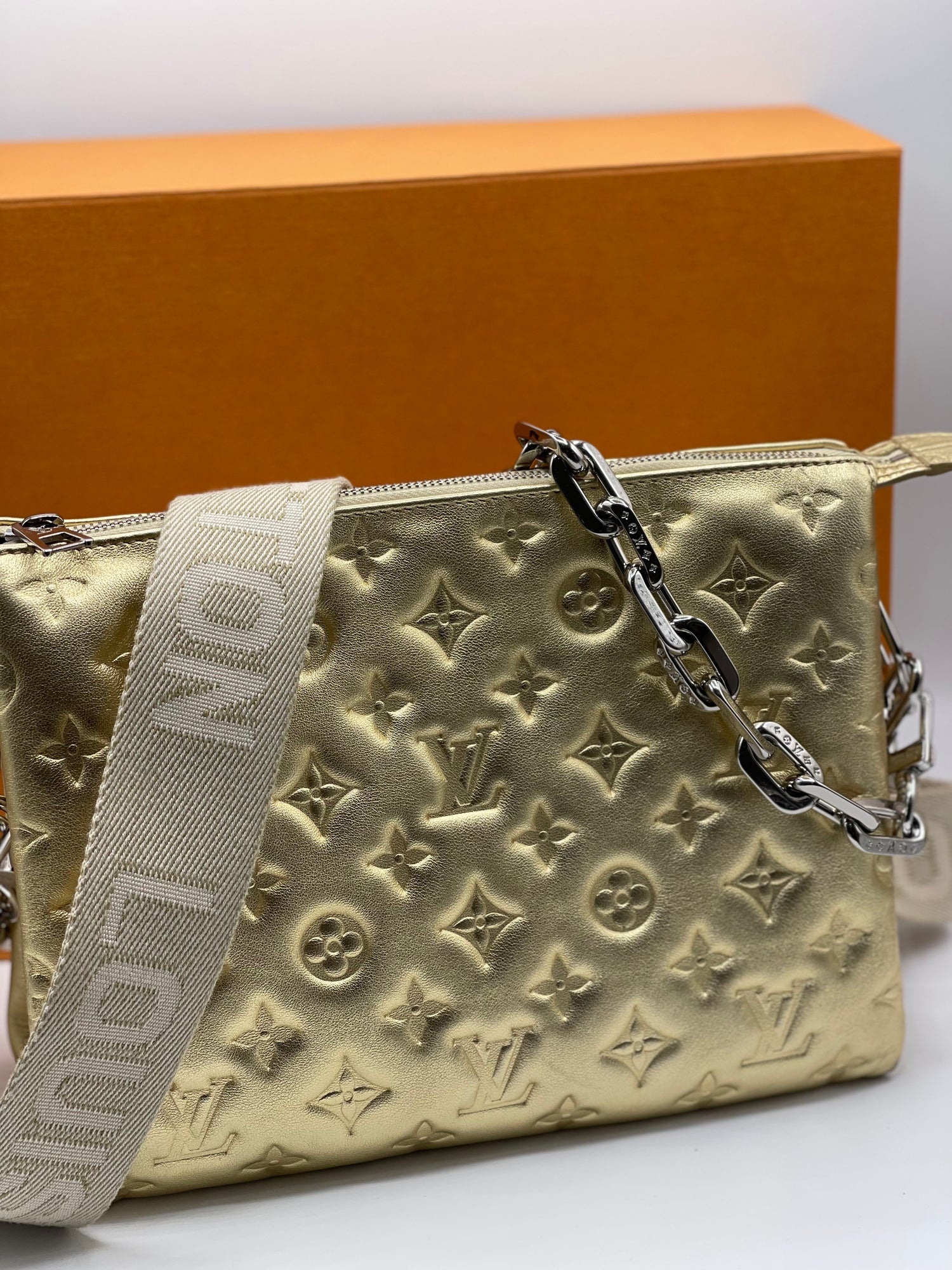 Louis Vuitton - PM cushion bag