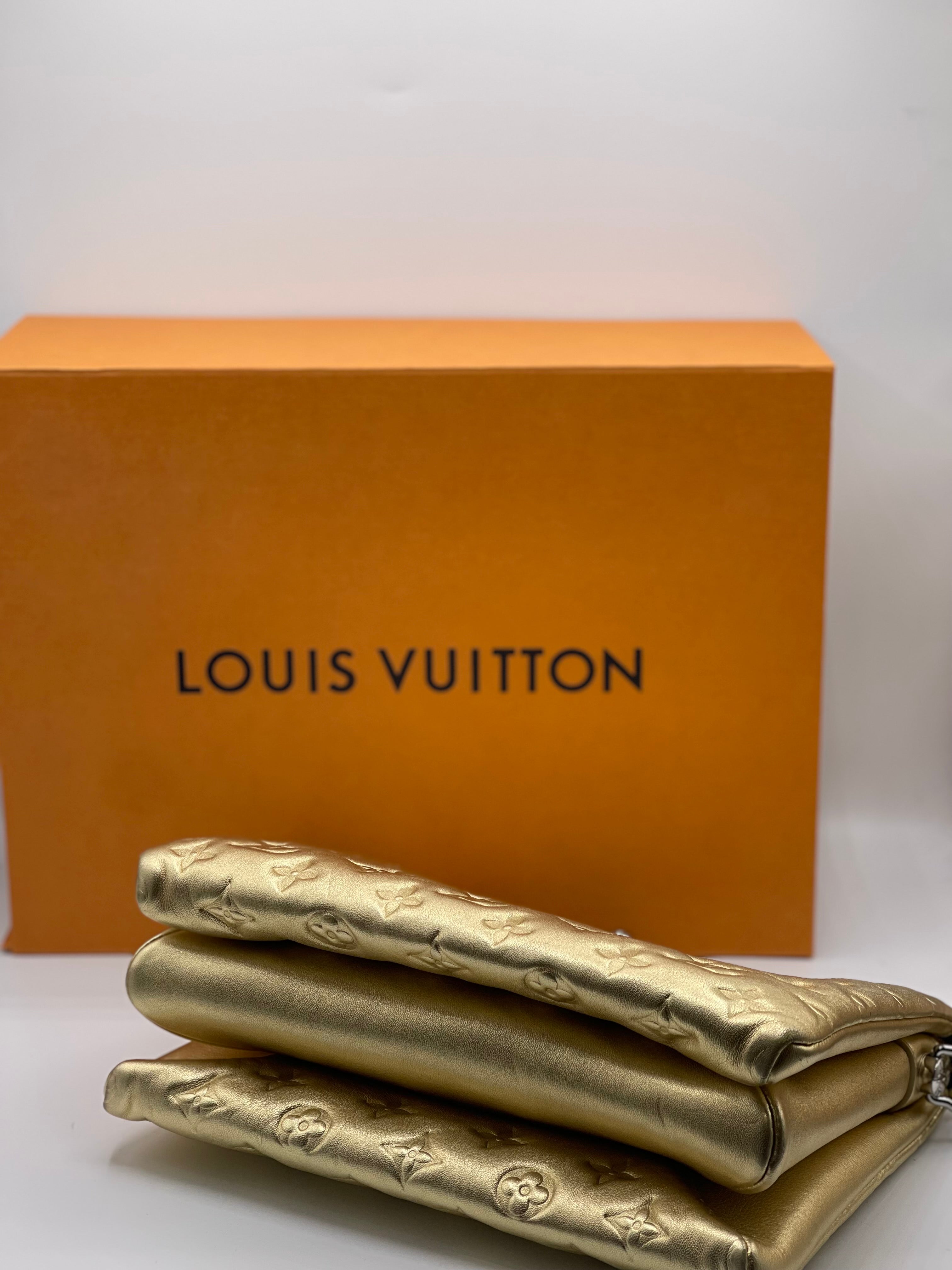 Louis Vuitton - PM cushion bag