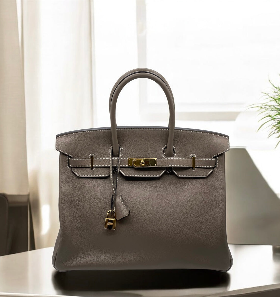 Hermès - Sac Birkin 35 Chèvre Mysore