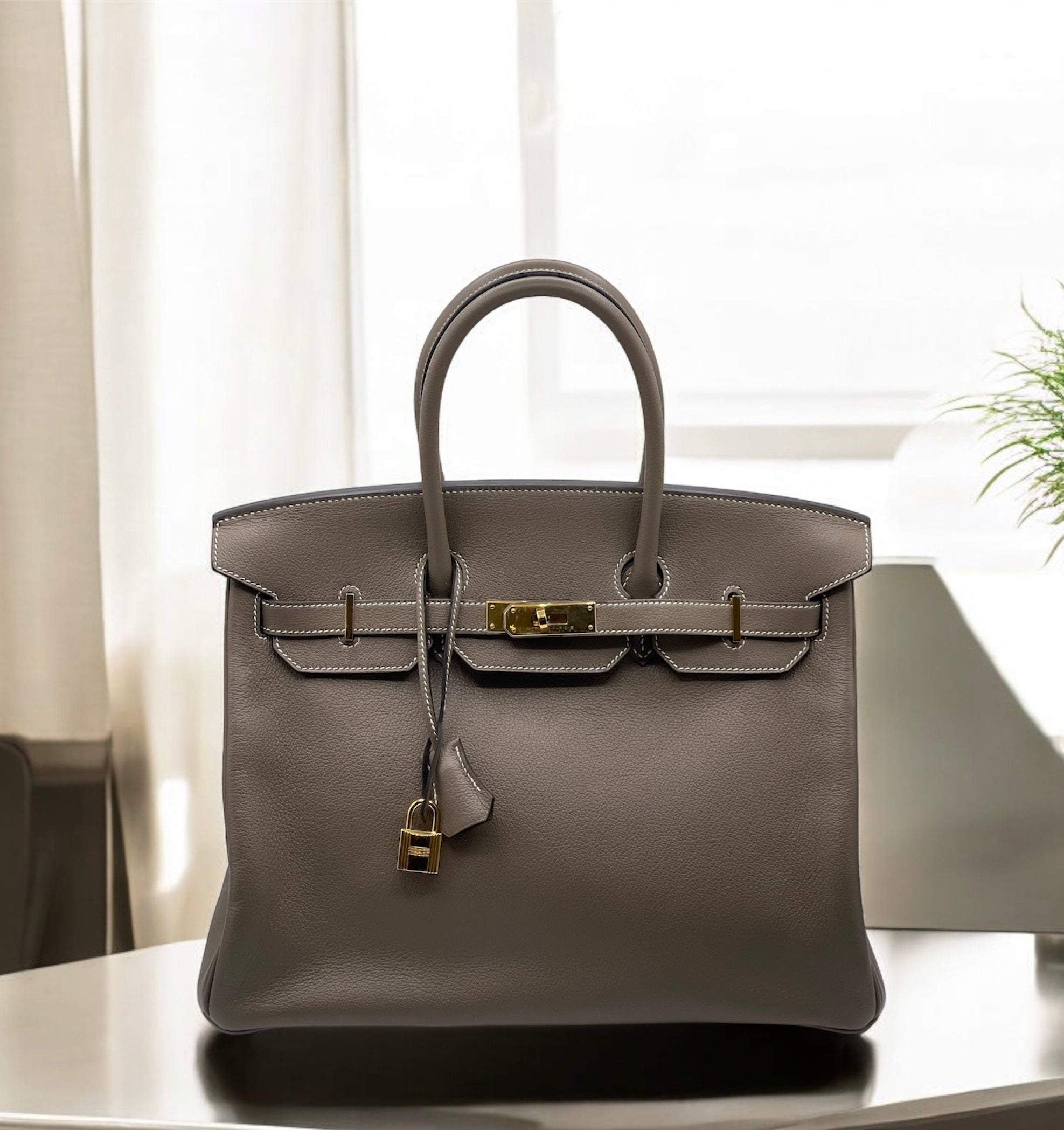 Hermès - Sac Birkin 35 Chèvre Mysore