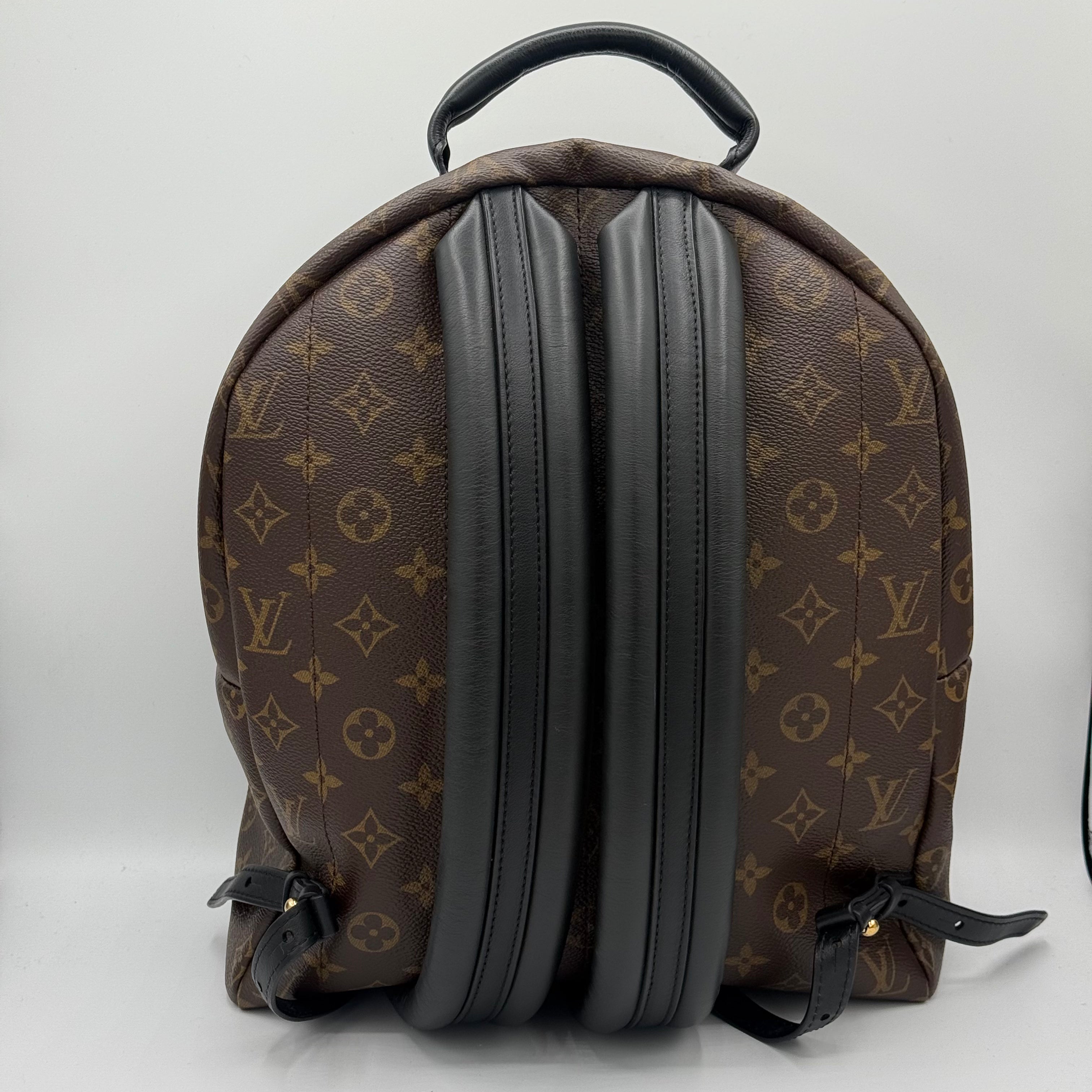 Louis Vuitton - Sac à dos Palm Spring