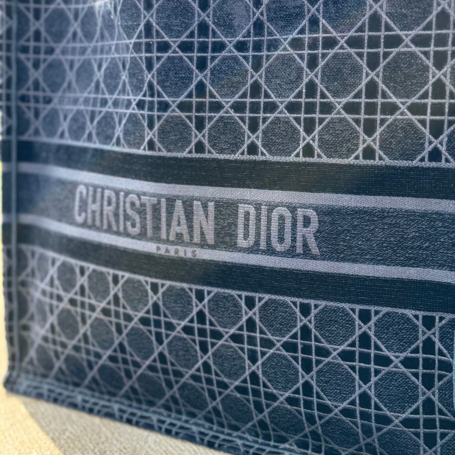 Dior - GM 帆布天鹅绒 Book Tote 包