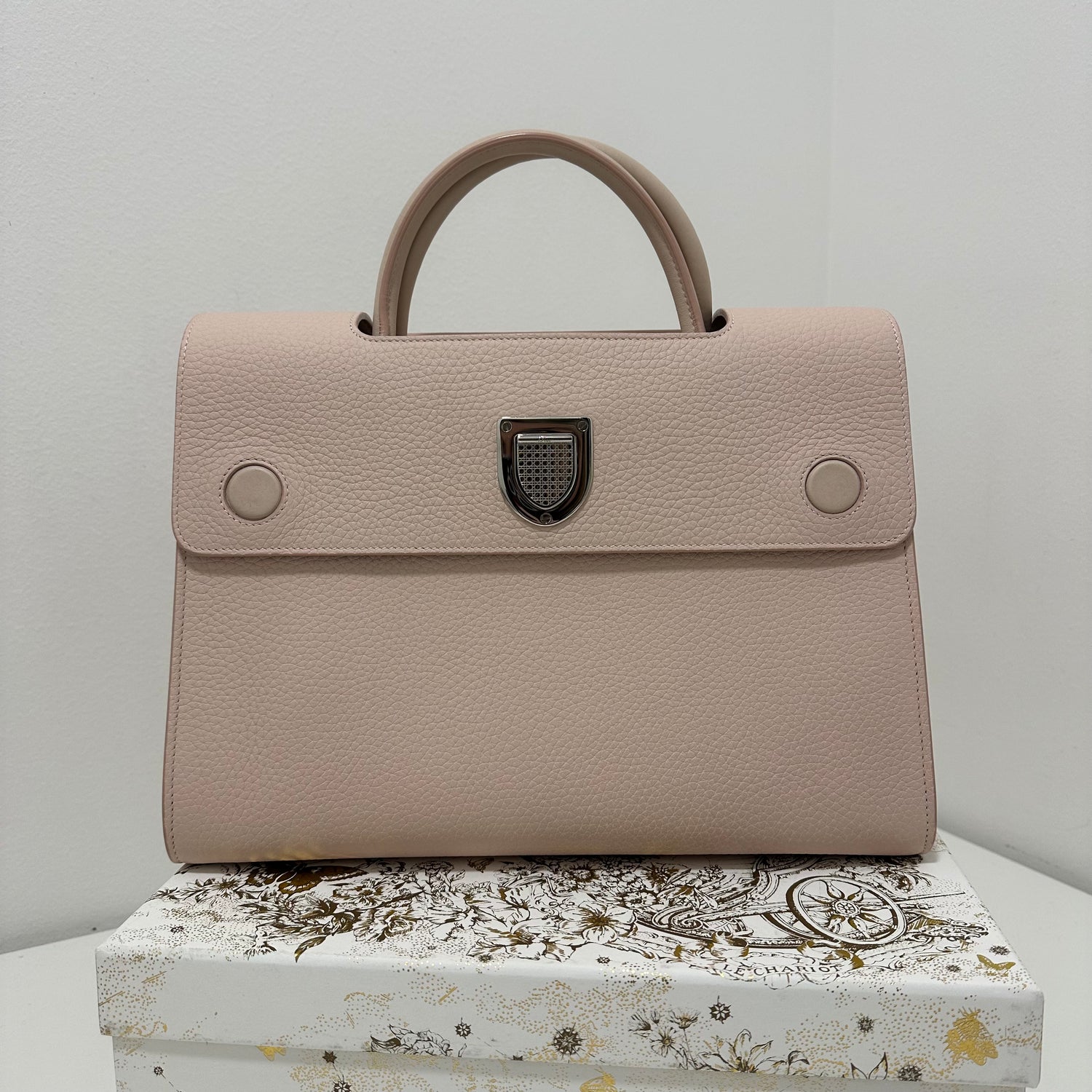 Dior Sac Diorever