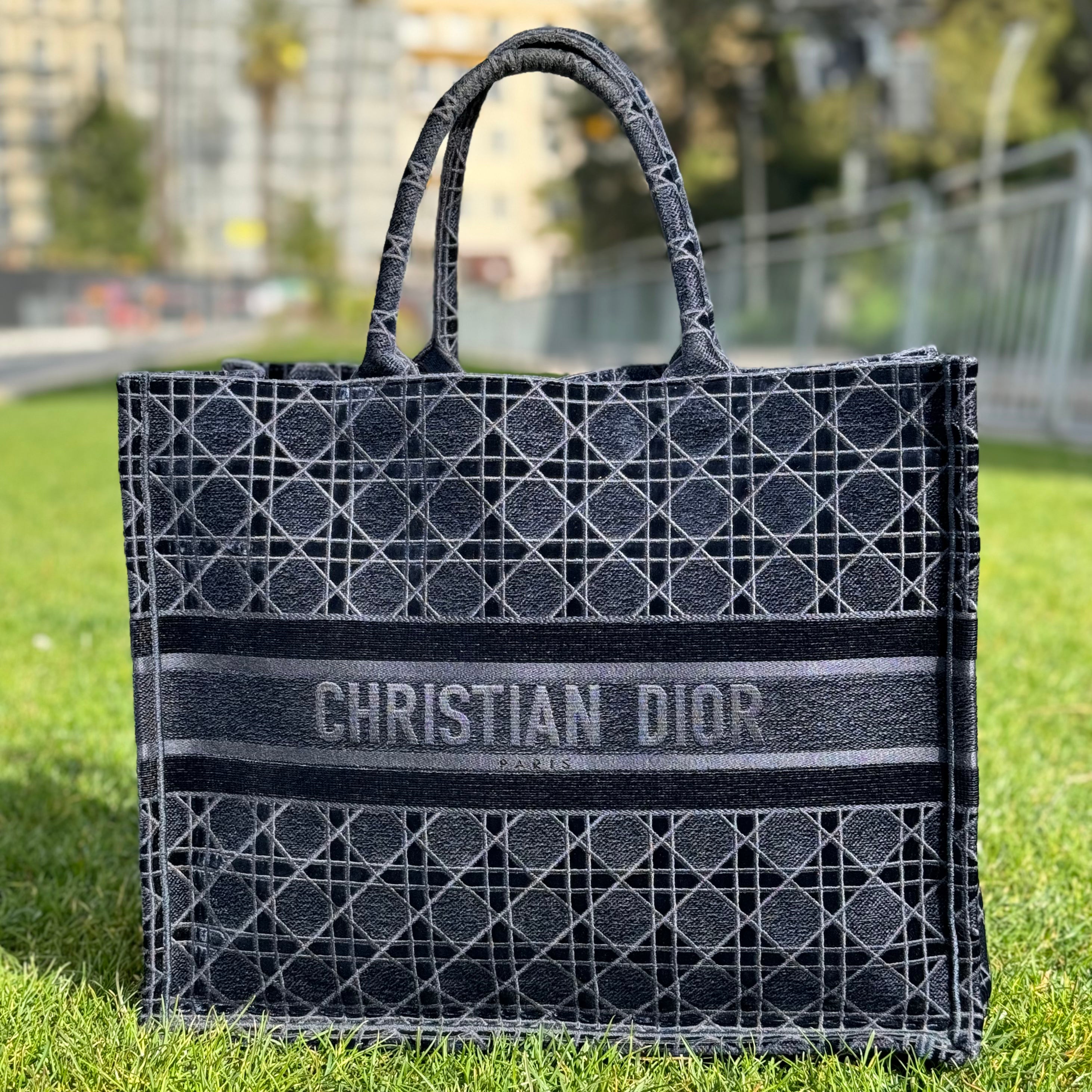 Dior - Borsa tote Book in velluto di tela GM