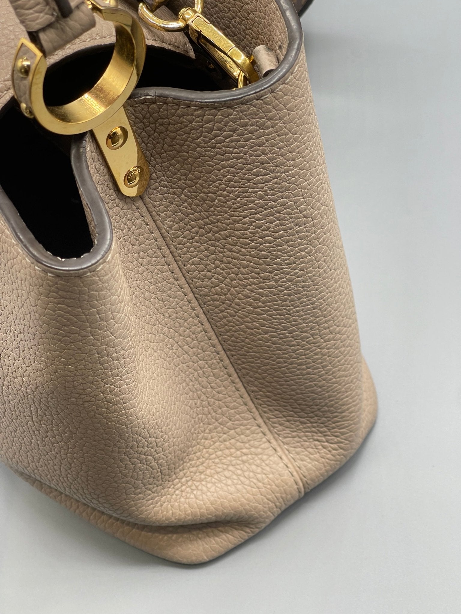 Louis Vuitton Capucine MM pebble bag Les Folies d Eugenie