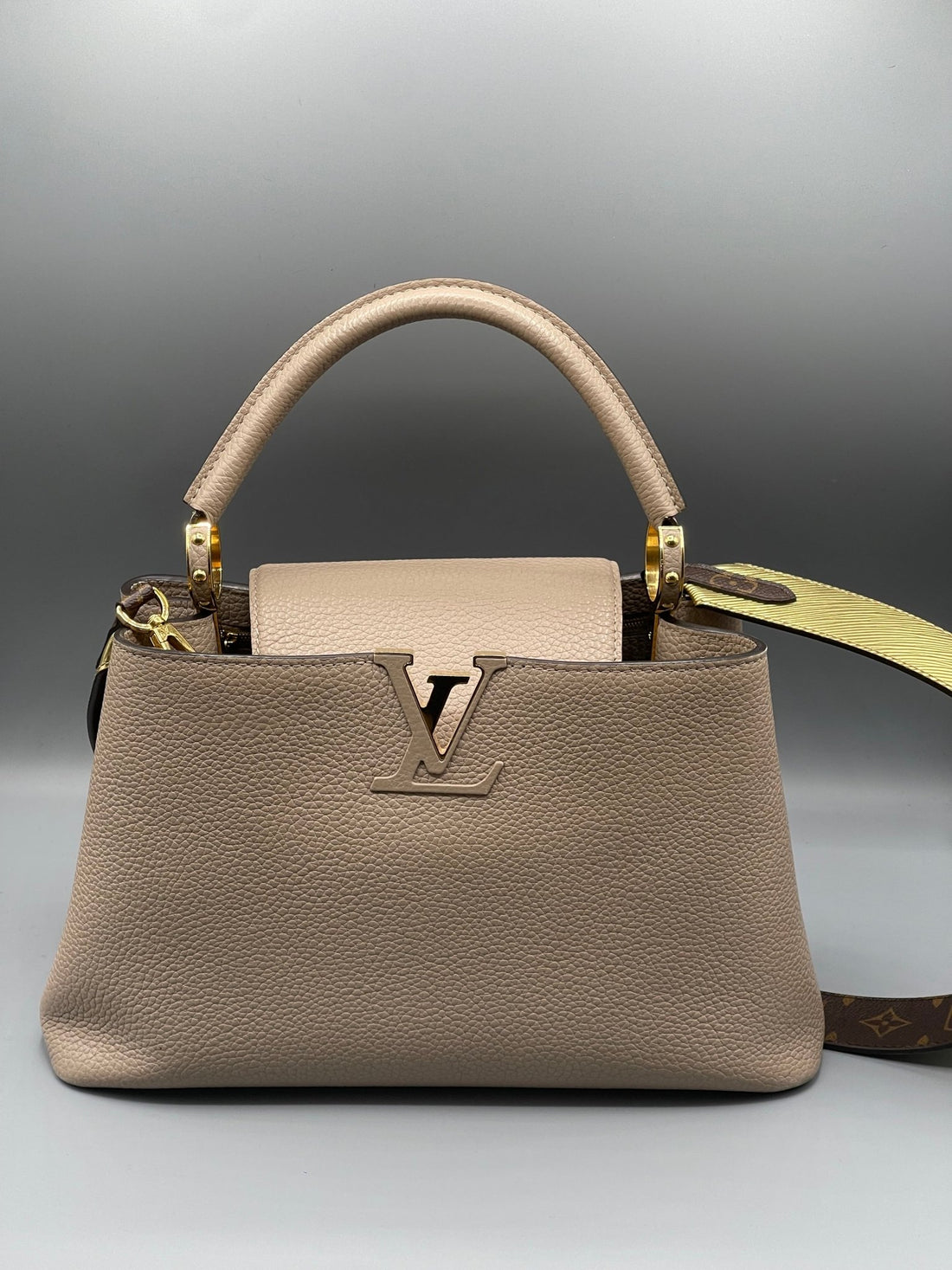 Louis Vuitton - Sac Capucine MM galet - Les Folies d&