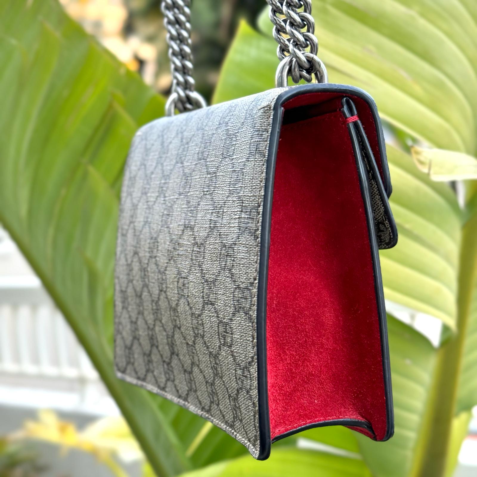 Gucci Dionysus bag Les Folies d Eugenie