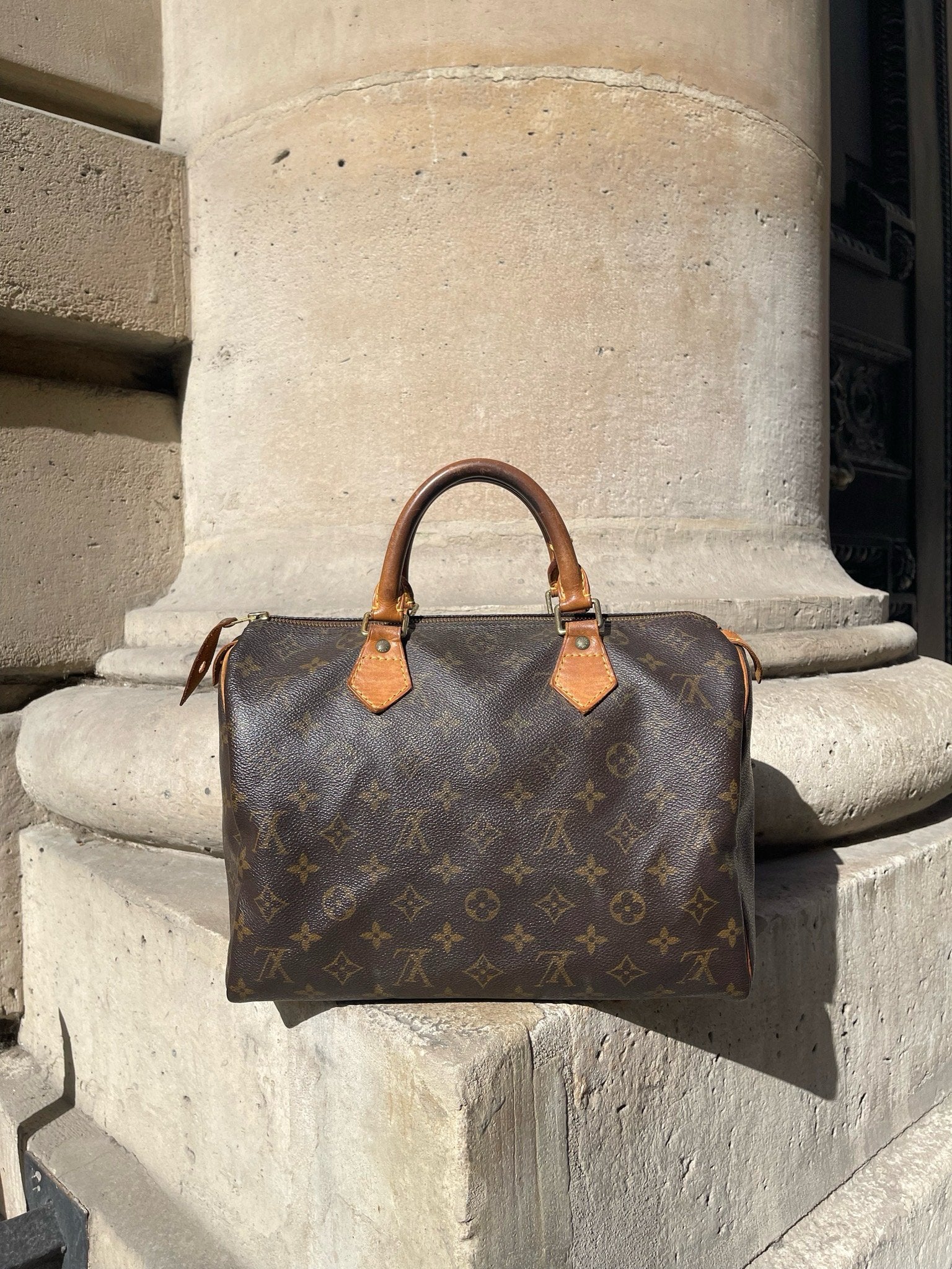 Sac louis shop vuitton speedy 30